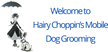 Hairy Choppins logo